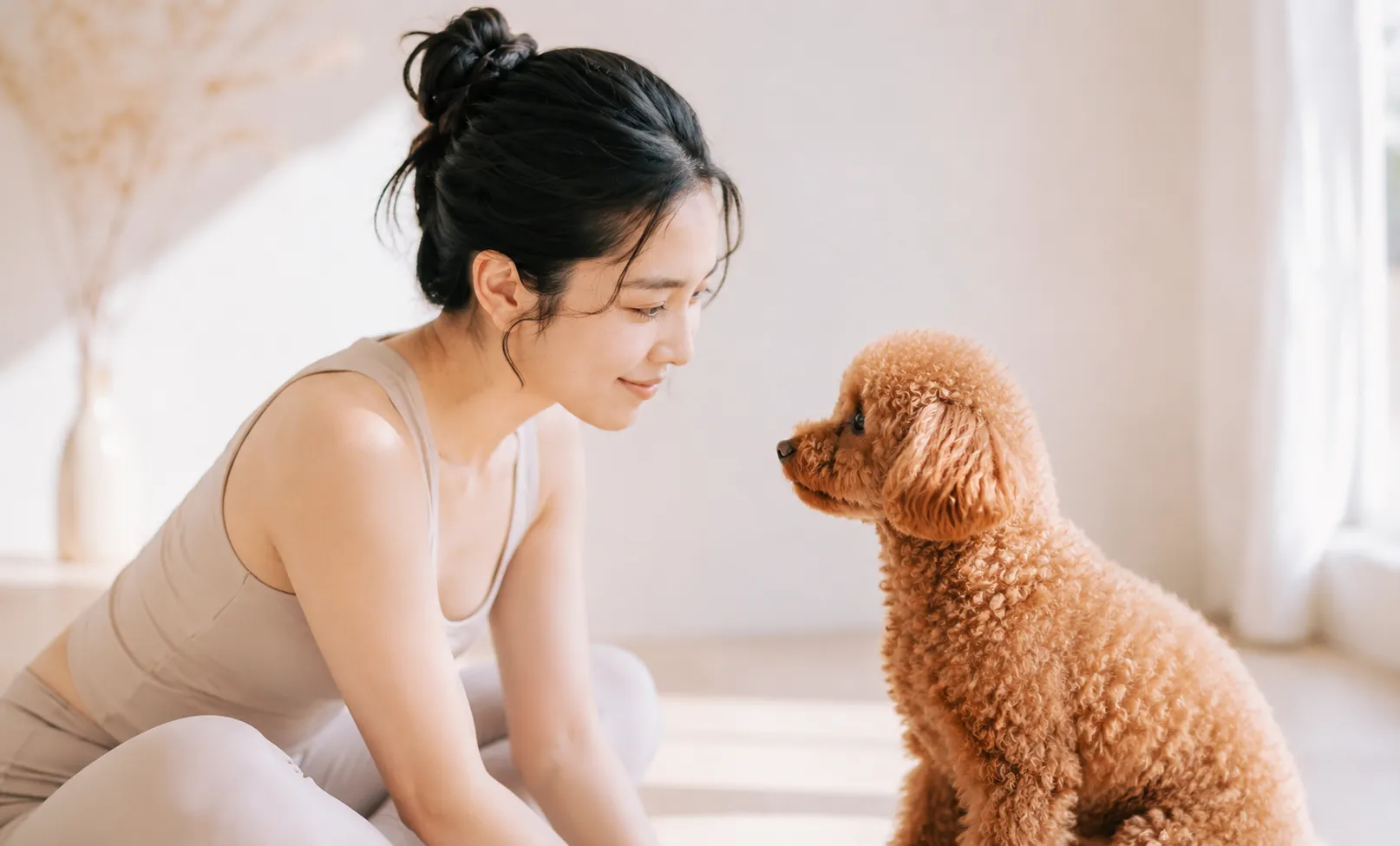 見つめ合う女性とトイプードル